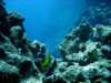 dsc02738_small.jpg