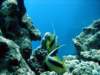 dsc02739_small.jpg