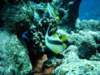 dsc02741_small.jpg