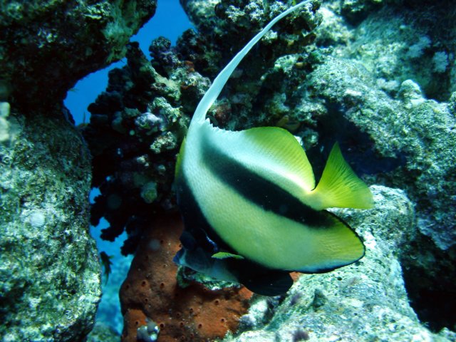 dsc02742.jpg