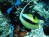 dsc02742_small.jpg