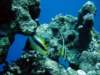 dsc02743_small.jpg
