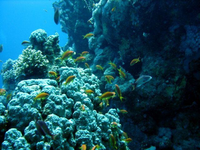 dsc02745.jpg