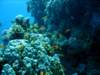 dsc02745_small.jpg