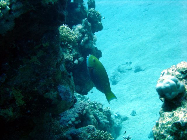 dsc02746.jpg