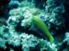 dsc02747_small.jpg