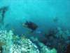 dsc02750_small.jpg