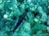dsc02751_small.jpg