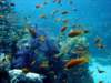 dsc02753_small.jpg