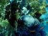 dsc02754_small.jpg
