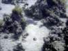 dsc02757_small.jpg
