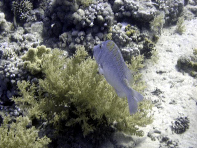 dsc02759.jpg