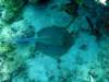 dsc02760_small.jpg