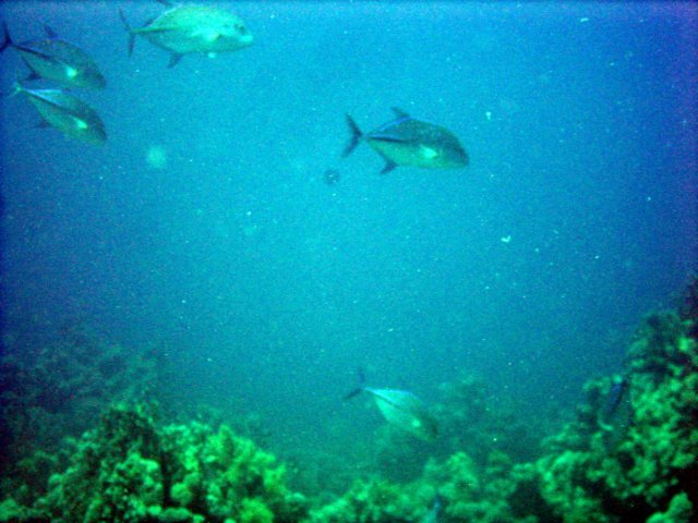 dsc02777.jpg