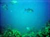 dsc02777_small.jpg