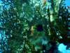 dsc02793_small.jpg