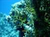 dsc02794_small.jpg