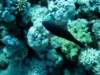dsc02795_small.jpg