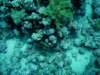 dsc02796_small.jpg