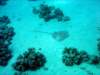dsc02797_small.jpg