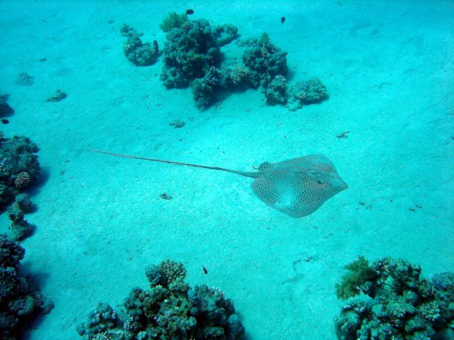 dsc02798.jpg