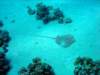 dsc02798_small.jpg