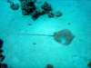 dsc02799_small.jpg