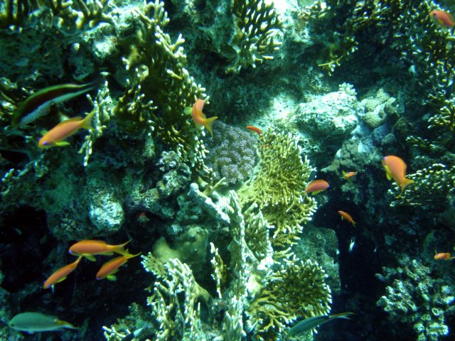 dsc02800.jpg