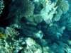 dsc02801_small.jpg