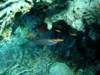 dsc02805_small.jpg