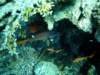 dsc02806_small.jpg