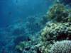 dsc02807_small.jpg