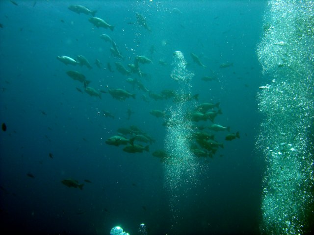 dsc02809.jpg