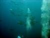 dsc02809_small.jpg