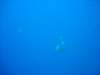 dsc02810_small.jpg
