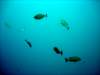 dsc02812_small.jpg