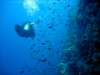 dsc02815_small.jpg