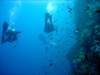 dsc02816_small.jpg