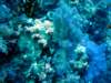 dsc02817_small.jpg