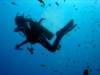 dsc02818_small.jpg