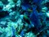 dsc02819_small.jpg