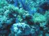 dsc02820_small.jpg