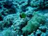 dsc02822_small.jpg