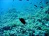 dsc02823_small.jpg