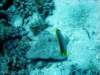 dsc02824_small.jpg