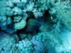 dsc02826_small.jpg
