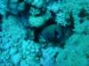 dsc02827_small.jpg