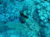 dsc02828_small.jpg