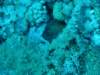 dsc02829_small.jpg