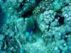 dsc02830_small.jpg